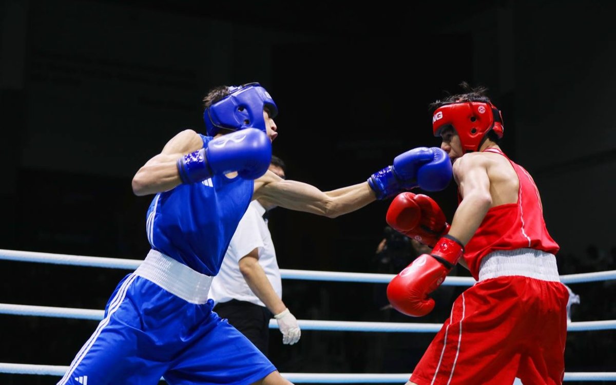 boxing-streams-watch-live-free