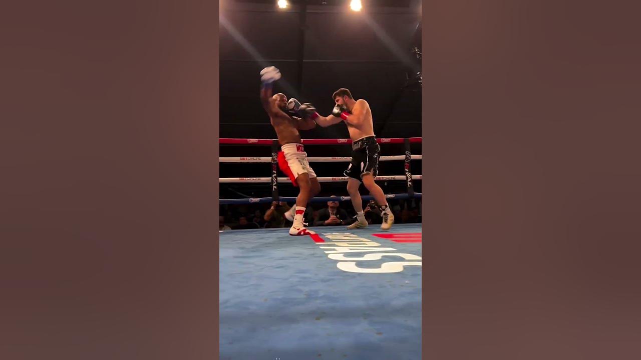 boxing-streams-watch-every-fight-live-without-missing-a-punch