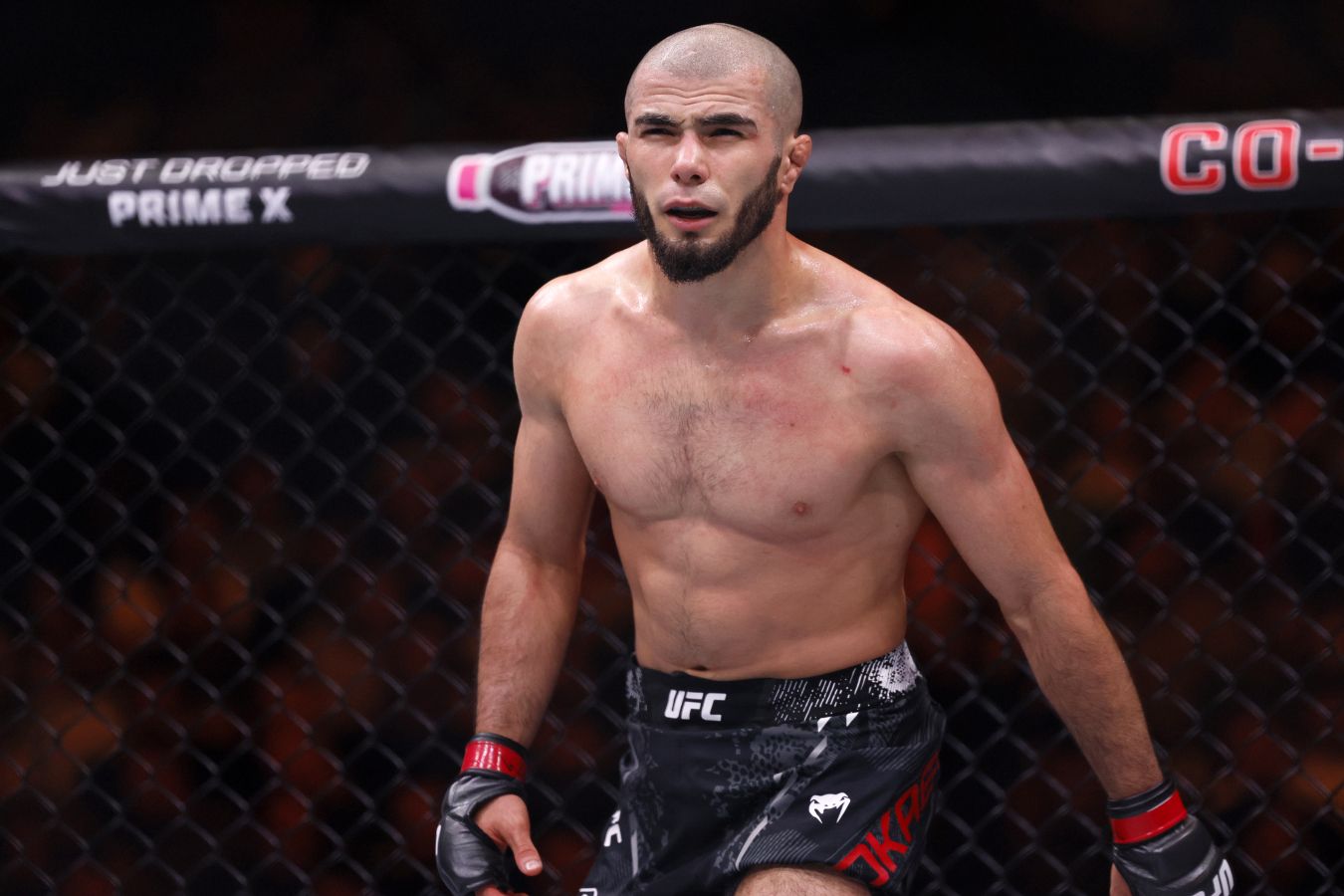 ufc-live-where-champions-rise-and-legends-are-made